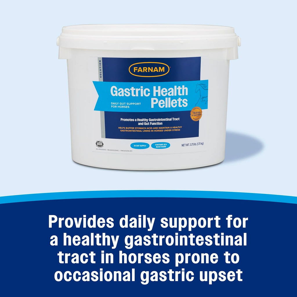 Farnam Gastric Health Pellets, Daily Gut and Digestive Health Supplement for Horses Helps Maintain a Healthy Gastrointestinal Tract and Gut Function