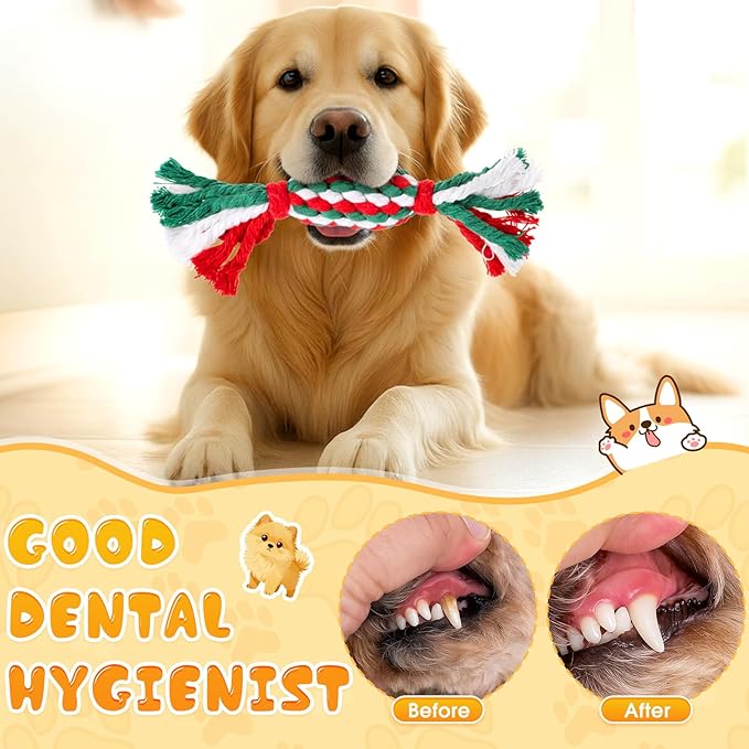 25 Pack Dog Rope Toys for Aggressive Chewers, Heavy Duty Teething Chew and Tug Toy Set for Medium and Large Dogs, Puppy Toys with Fun Fruit & Cartoon Shapes