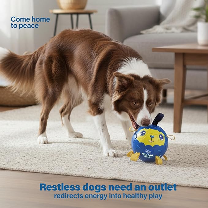 Race&Herd 9" Jolly Soccer Ball for Dogs - Tough Durable Dog Ball Toy with Straps, Pet Bouncy Herding Balls for Dogs, Floating Dog Balls with Tags for Water Fetch, BaaBaaBall (Blue)