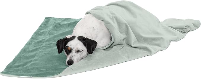 Furhaven Waterproof Throw Blanket for Dogs & Indoor Cats, Washable - Two-Tone Luxe Velvet Dog Blanket - Celadon Green, Medium
