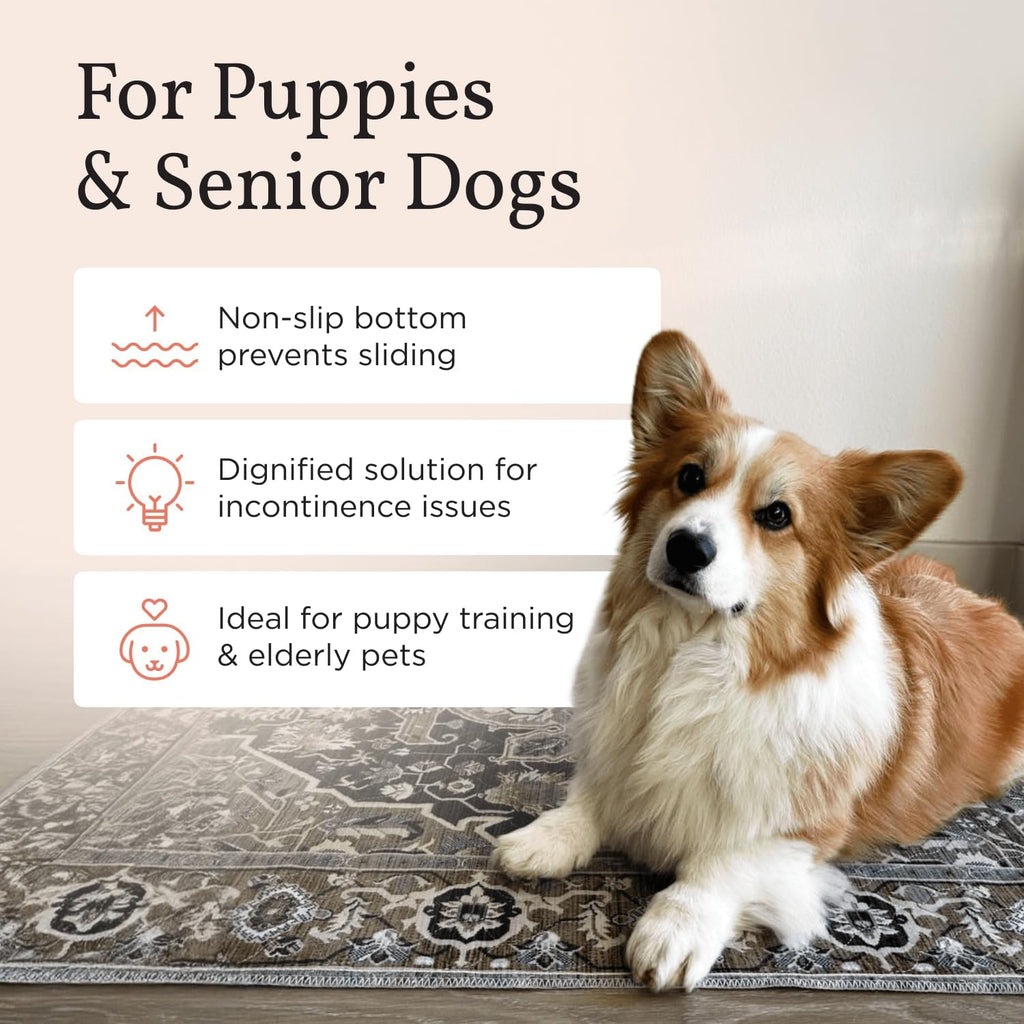 LOVEWAG Washable Dog Pee Pads, 24" x 16", Waterproof, Non-Slip, Super Absorbent, Reusable Machine-Washable, 2-Pack (Caramel Creme)