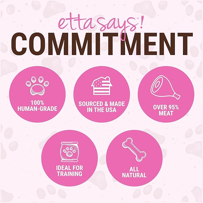 etta says! Yumm Sticks - Real Meat Pork Dog Jerky Treats - Human Grade - Made in The USA (24 Count Pack of 1)