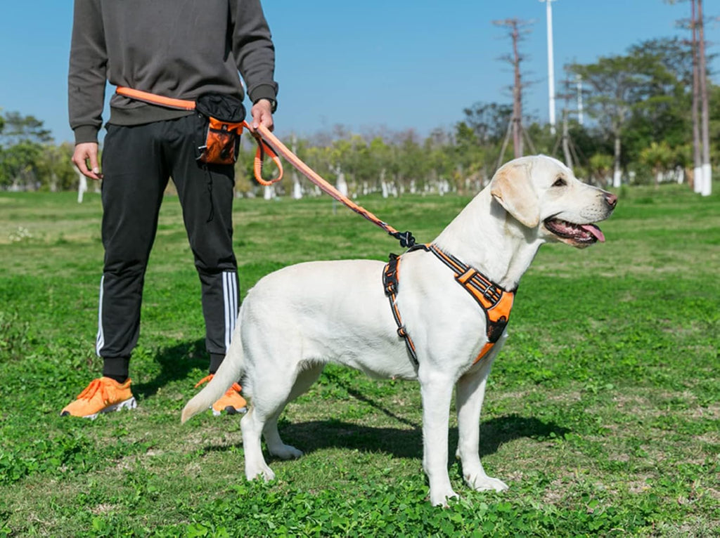 TRUE LOVE Truelove Adjustable No-Pull Dog Harness Reflective Pup Vest Harnesses Comfortable Control Brilliant Colors TLH5651(Orange,XL)