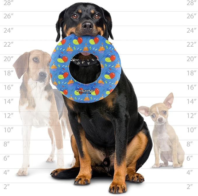 MIGHTY- NO Stuff Ring - Squeaky Plastic Core. 2-in-1 Toy. Made Durable, Strong & Tough. Interactive Play (Tug, Toss & Fetch). It Floats (Celebration, Large)