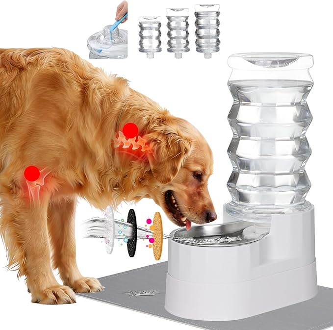 RIZZARI Automatic Dog Water Dispenser：8L Lagre Stainless Steel Raised Pet Water Bowl Gravity Feeder with Triple Filter Specialized Brush - Garage Garden Pet Feeder