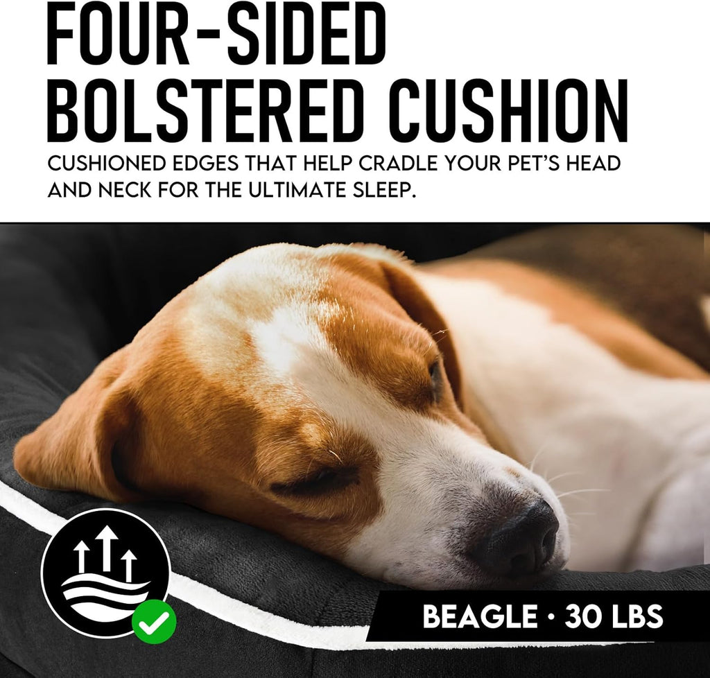 OhGeni Orthopedic Dog Couch Pet Sofa Large Sized Cat Beds with Comfort Foam Support, Soft Comfortable Fabric, Machine Washable Waterproof Removable Cover, 35-Inch (Black)