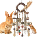 Bissap Bunny Chew Toy, Rabbits Cage Hanging Chew Toys and Treats Rattan Ring with Snacks Water Grass Wooden Block Carrot for Guinea Pigs Chinchillas Hamsters Rats and Other Small Pets Teeth Grinding