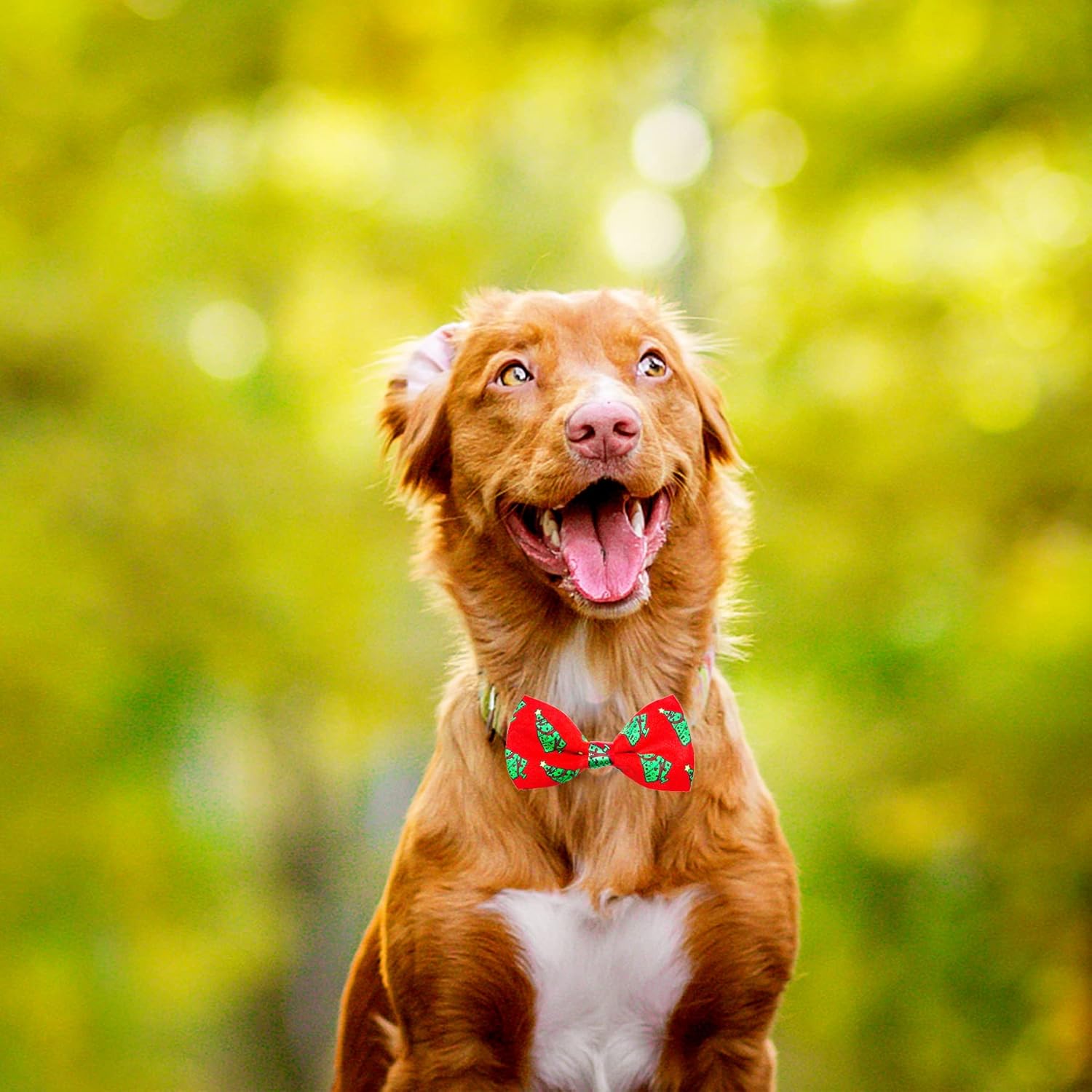 PET SHOW 10pcs/Pack 4.5 * 2.5" Christmas Large Dogs Collar Attachment Bow Ties Xmas Parties Medium Dog Cats Collar Charms Accessories Slides Bowties Assorted