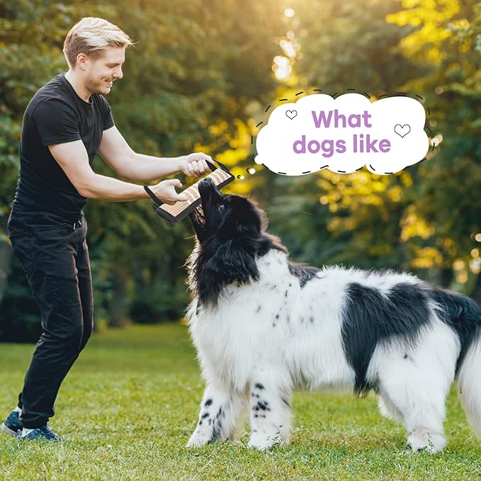 Kacctyen 4 Pcs Christmas Dog Tug Toys, Jute Pillow Pull Toy with 2 Strong Handles Tug of War Interactive Play Puppy Training Equipment for Medium to Large Dogs, 4 Colors(Dark Color)