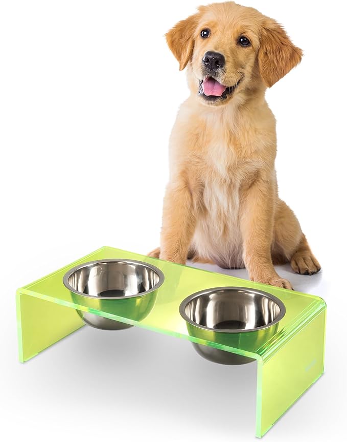 The LICKER Store DBL2000G Keaton 5" Small/Medium Modern Acrylic Rectangular Elevated Pet Feeder with 20oz 2-Stainless Steel Bowls, Green/Chrome