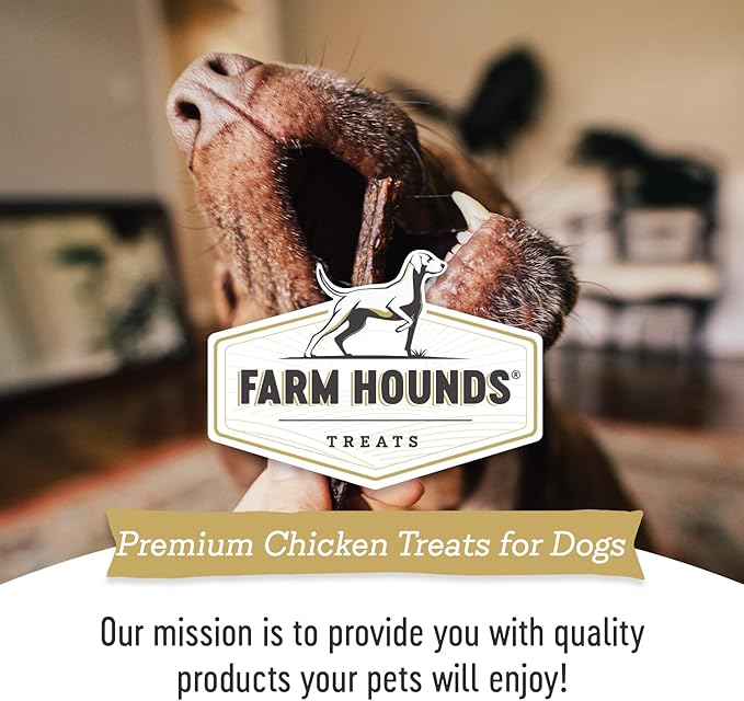 Farm Hounds - Chicken Gizzards - Premium Natural Jerky for Dogs - 100% Humanely Raised Chicken - Break-to-Size - Great for Training & Treats - No Added Fillers - Made in USA - 4oz -1 Pack