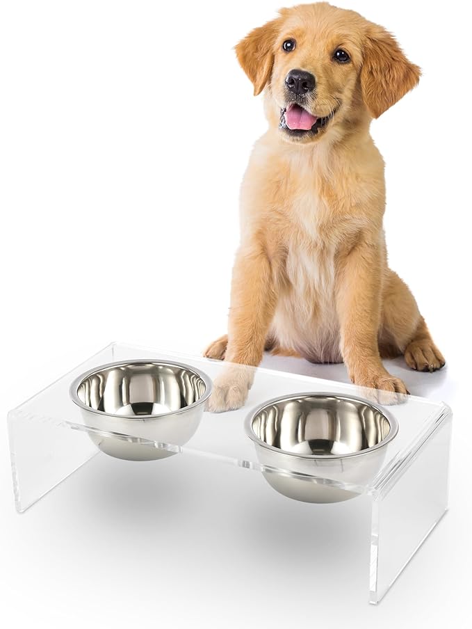The LICKER Store DBL2000A Keaton 5" Small/Medium Modern Lucite Rectangular Elevated Pet Feeder with 20oz 2-Stainless Steel Bowls, Clear/Chrome