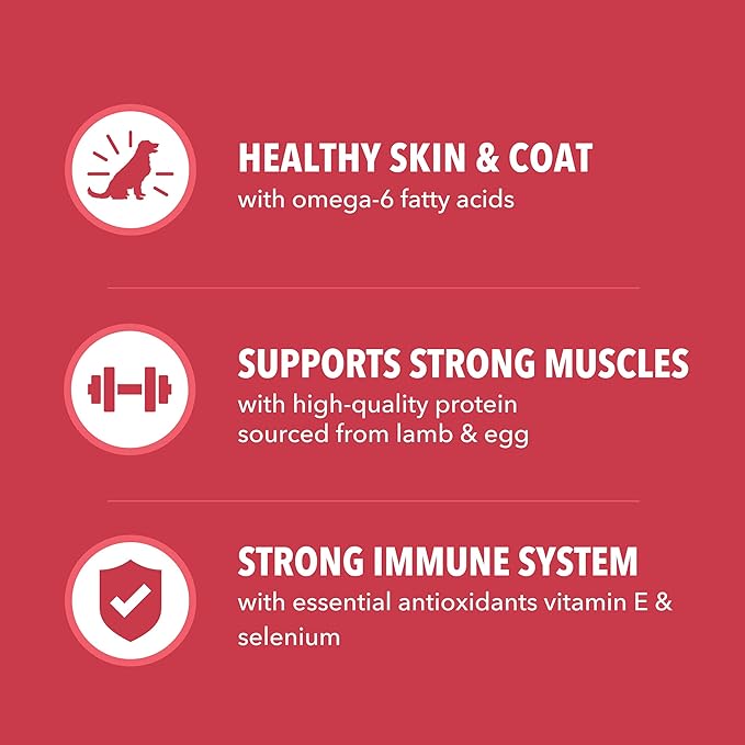 IAMS Proactive Health Minichunks Adult Dry Dog Food with Lamb & Rice, 15 lb. Bag