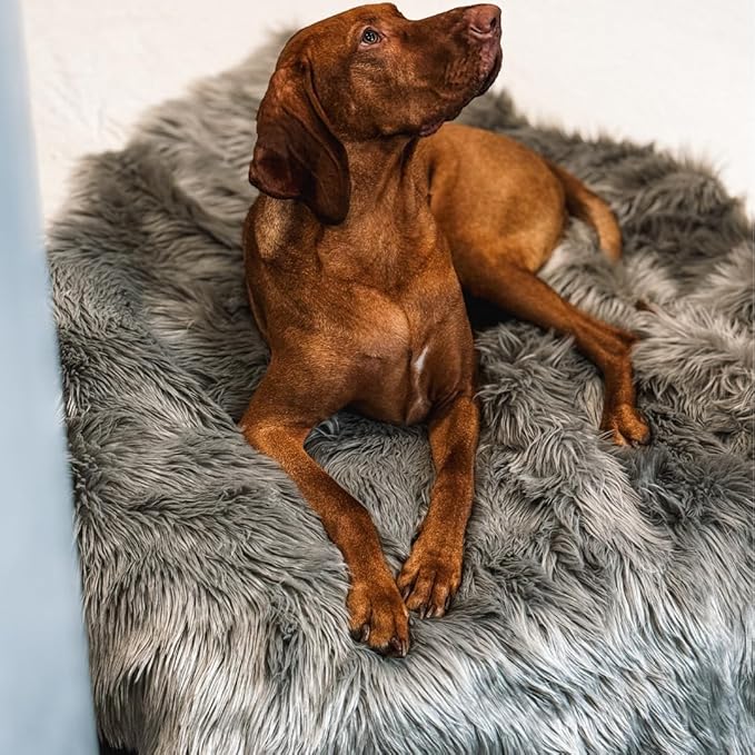 Waterproof Dog Blanket for Small, Medium & Large Dogs – Faux Fur Pet Throw for Couch, Sofa, Bed & Car – Soft, Washable, Stain-Resistant, Durable Cover – Grey – 80" x 60"