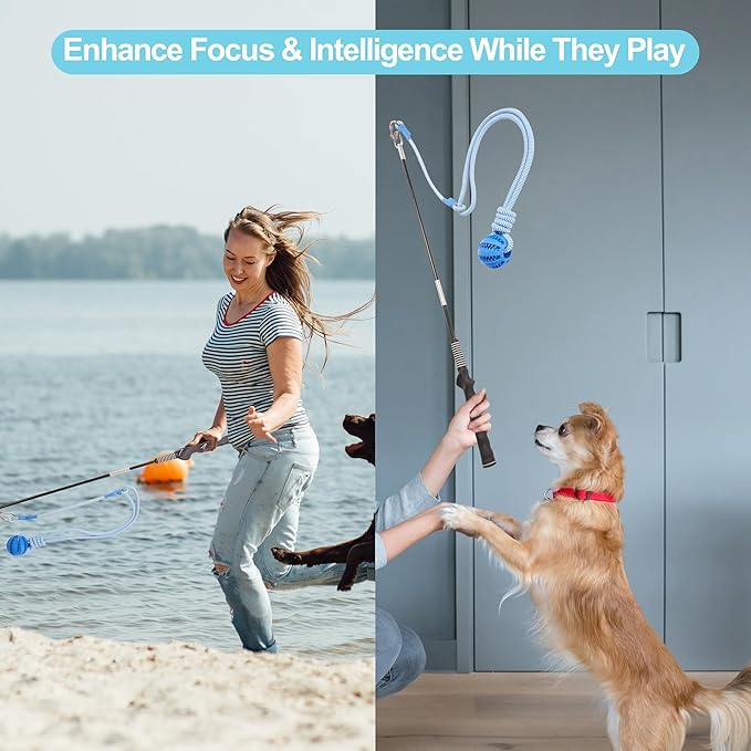 Flirt Pole for Dogs, Durable Dog Flirt Pole for Large Medium & Small Dogs, Interactive Dog Pole Toy with Rubber Ball for Outdoor/Indoor, Training, Chase, Tug of War (24 & 31 inch)
