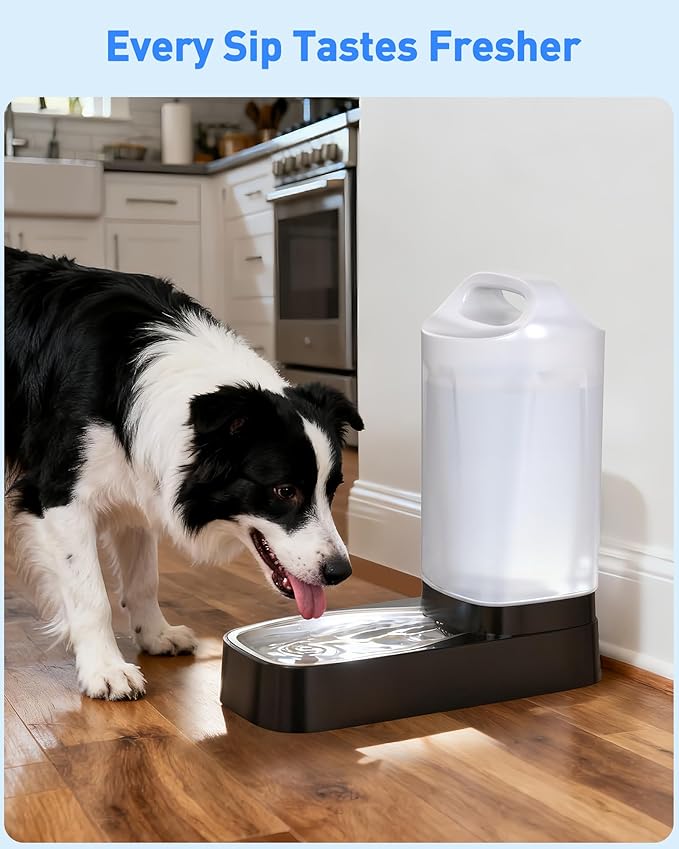 Dog Water Dispenser Filters Replacement, 4 Pack Gravity Pet Water Bowl Filters Fit for 2.4 Gal Automatic Dog Cat Water Dispenser, 6 Filtration Pet Fountain Filter Replacement