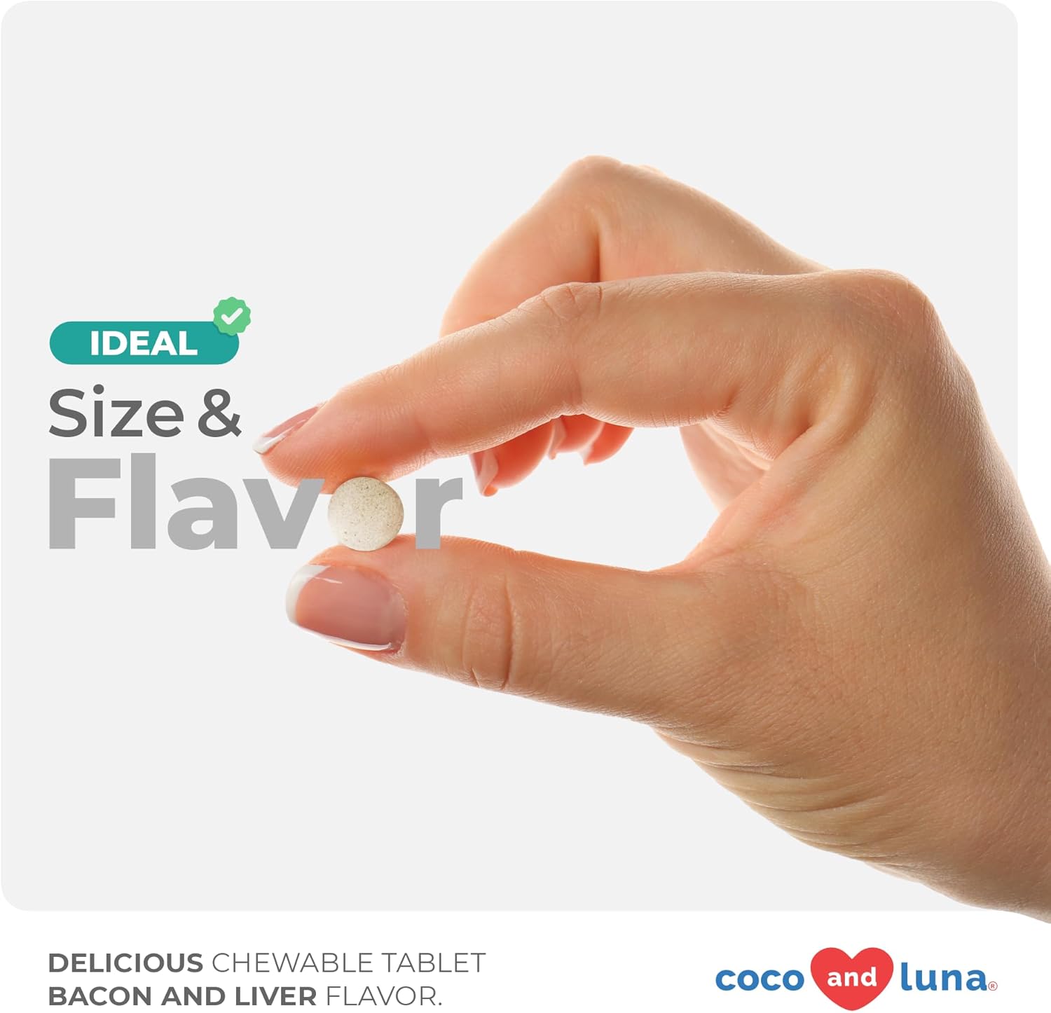 Probiotics for Dogs - 120 Chewable Tablets - Diarrhea & Gas Support - with Honey Pumpkin and Prebiotics for Dog Allergies, Bad Breath & Constipation Support