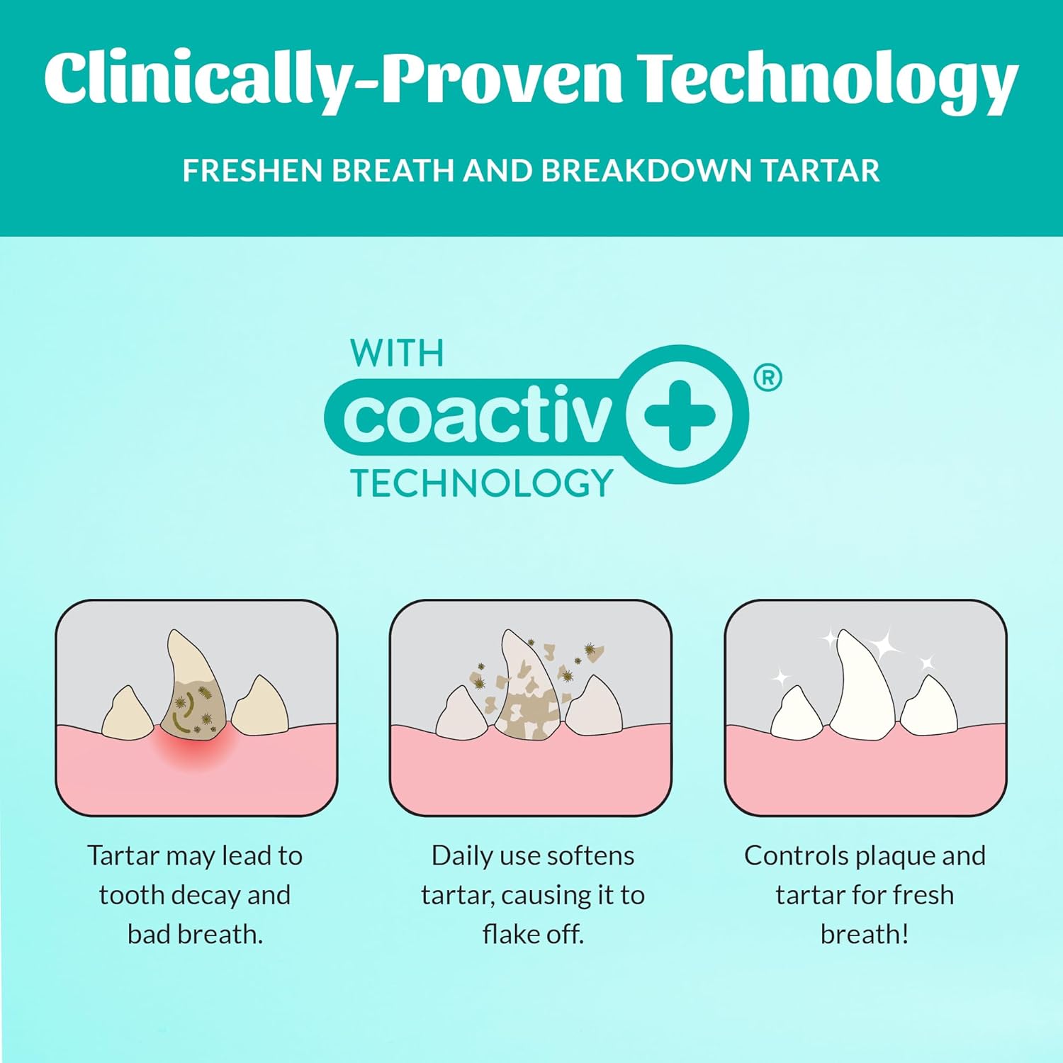 SKOUT'S HONOR Fresher Breath Water Additive for Pets - VOHC Accepted for Tartar Control, Freshens Breath Fast, No Brushing Required: Fresh & Flavorless 16oz - 2 Pack