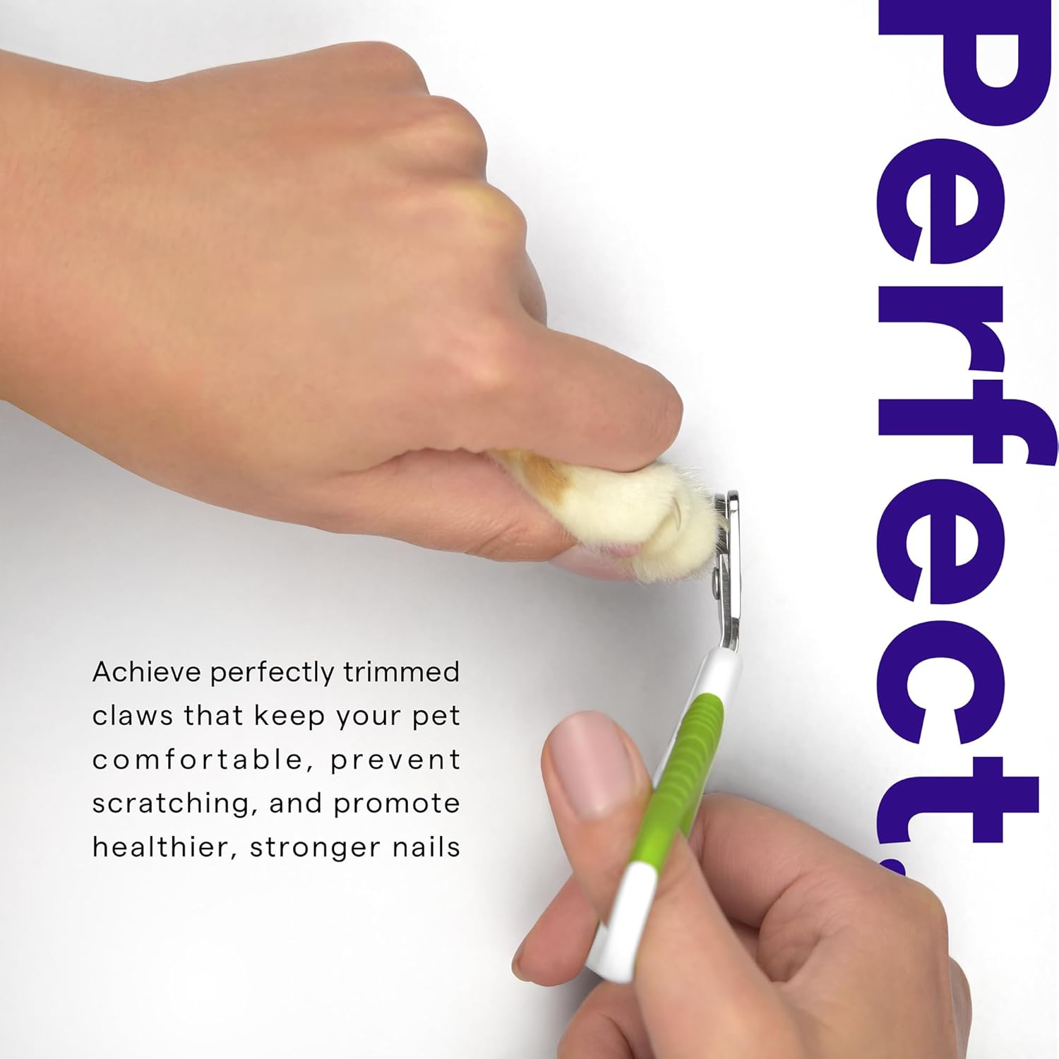 Cat Nail Clippers for Beginners and Groomers - Best Pet Nail Clippers & Claw Trimmer for Home Grooming Kit - Grooming Tool for Small Animals Tiny Dog Indoor Cat Bunny Rabbit Bird Kitten - Ebook Guide