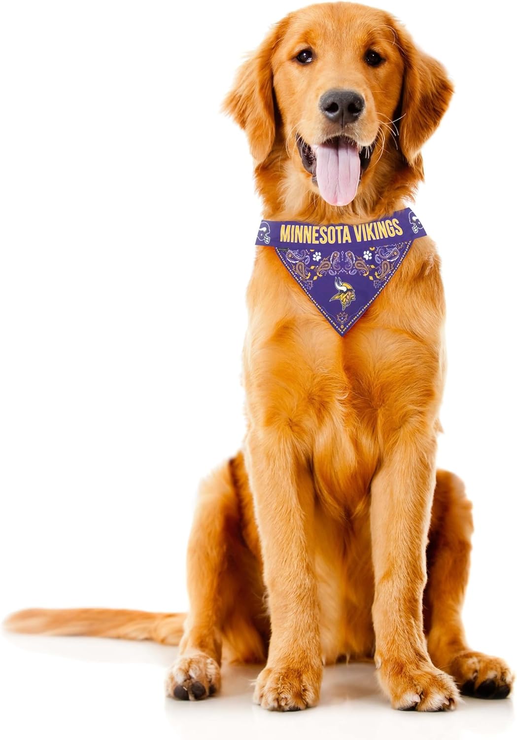Littlearth NFL Pet Bandana - Reversible