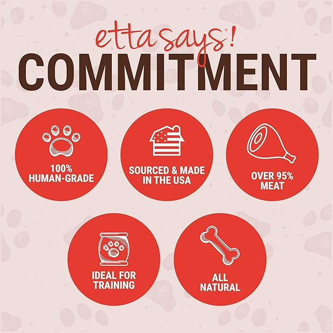 etta says! Yumm Sticks - Real Meat Beef Dog Jerky Treats - Human Grade - Made in The USA (24 Count Pack of 1)