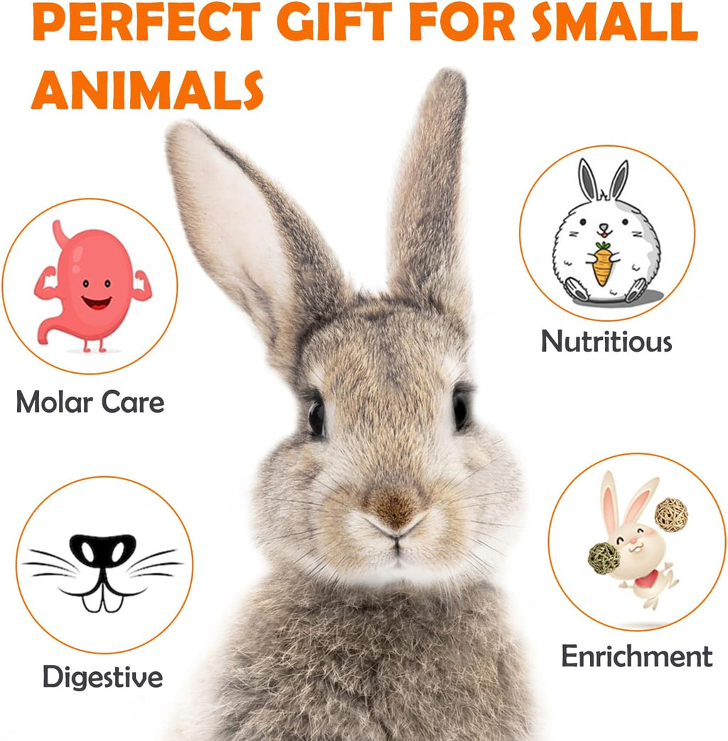 Sofier 32Pcs Timothy Hay Sticks 320g for Rabbit, Guinea Pig, Hamster - Natural Handmade Treats and Chews for Teeth - Chinchilla, Rat, Gerbil Toys