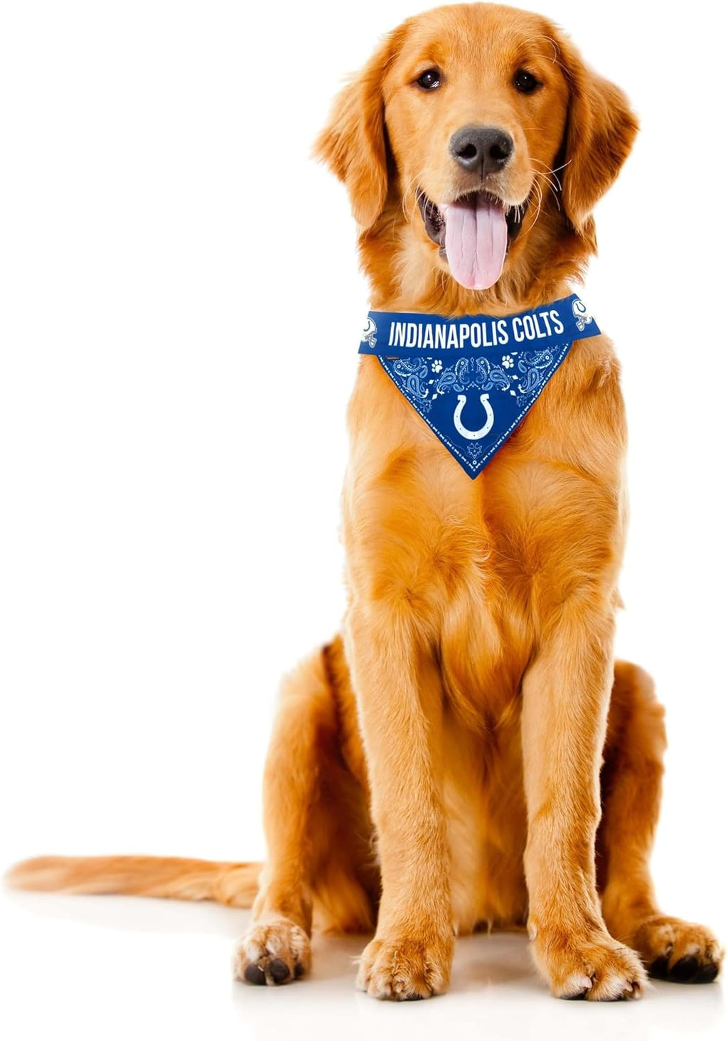 Littlearth NFL Pet Bandana - Reversible