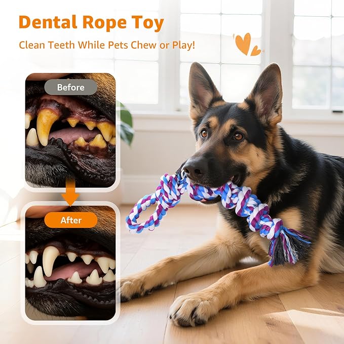 LOOBANI Dog Rope Toys for Aggressive Chewers, 2 Packs Replacement Interactive Chew Toy for Pet Grinding Teeth, Tug of War Toy for Small Medium Large Breeds(Purple Blue)