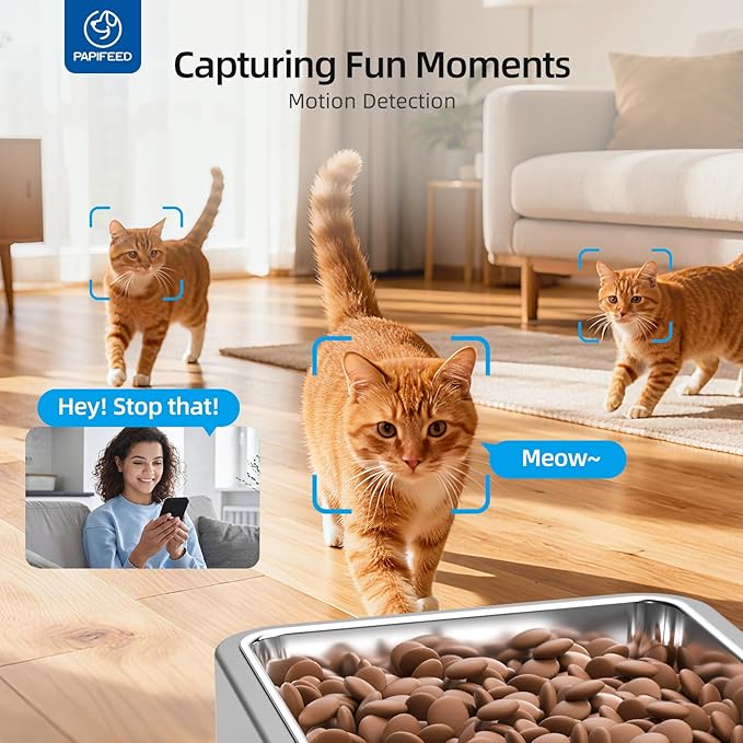 PAPIFEED Automatic Cat Feeder with Wide-Angle Camera, WiFi Pet Feeder with APP Control for Remote Feeding, Detachable for Easy Clean, Dual Power Supply,1-10 Meals Per Day for Multiple Pets(Gray)
