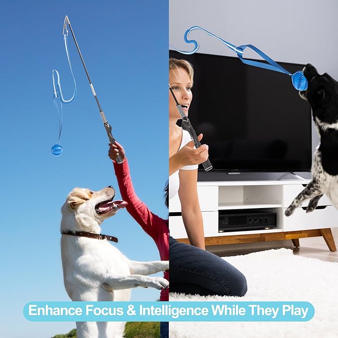 Flirt Pole for Dogs, Durable Dog Flirt Pole for Large Medium & Small Dogs, Interactive Dog Pole Toy with Rubber Ball for Outdoor/Indoor, Training, Chase, Tug of War (24 & 31 inch)