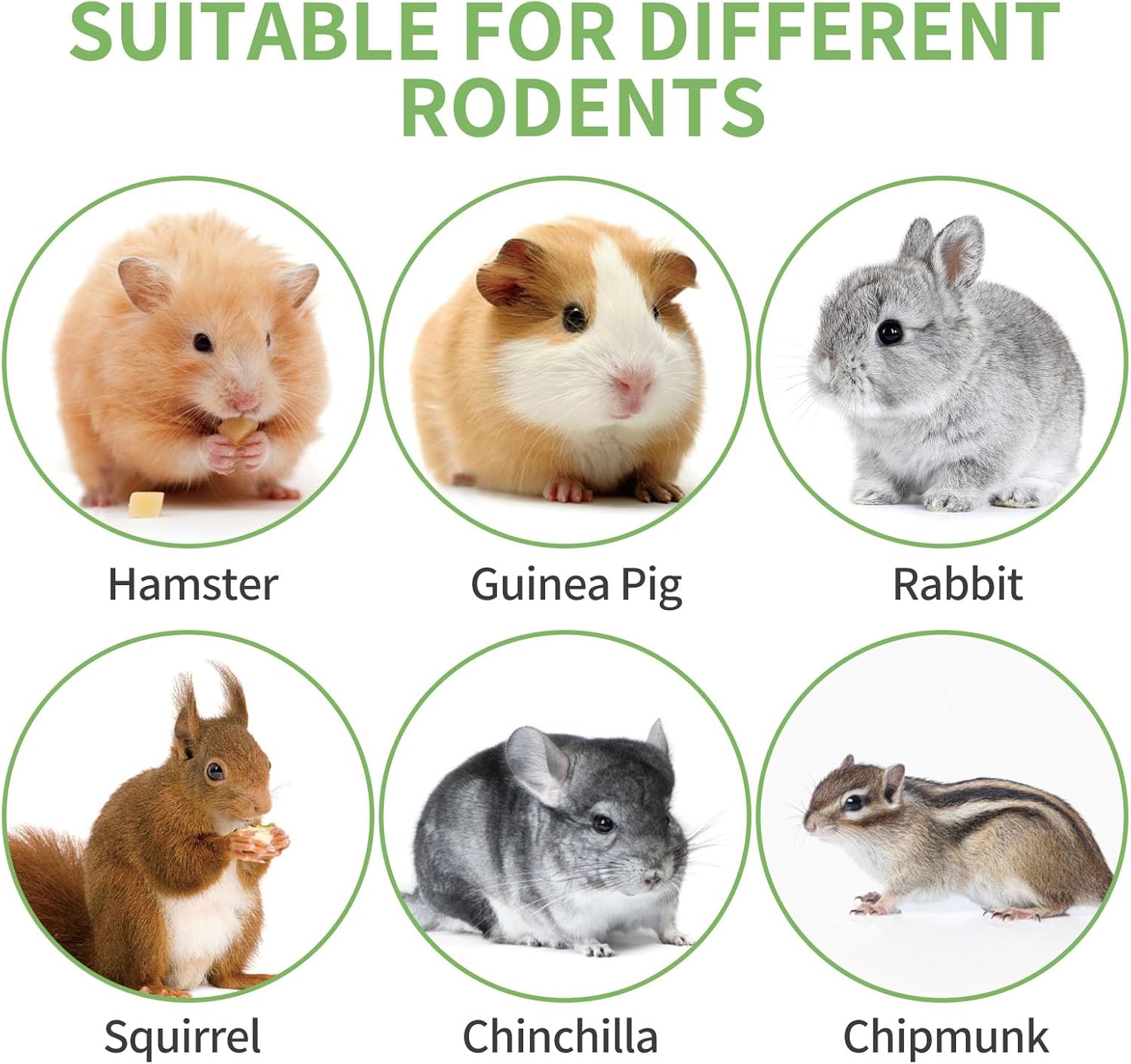 330g Natural Apple Sticks Rabbit Chew Toys, Bunny Teething Toys, Easy to Store in Jar, Ideal for Rabbit, Guinea Pig, Hamster, Chinchilla, Chipmunks, Squirrels, Gerbils and other Small Animals