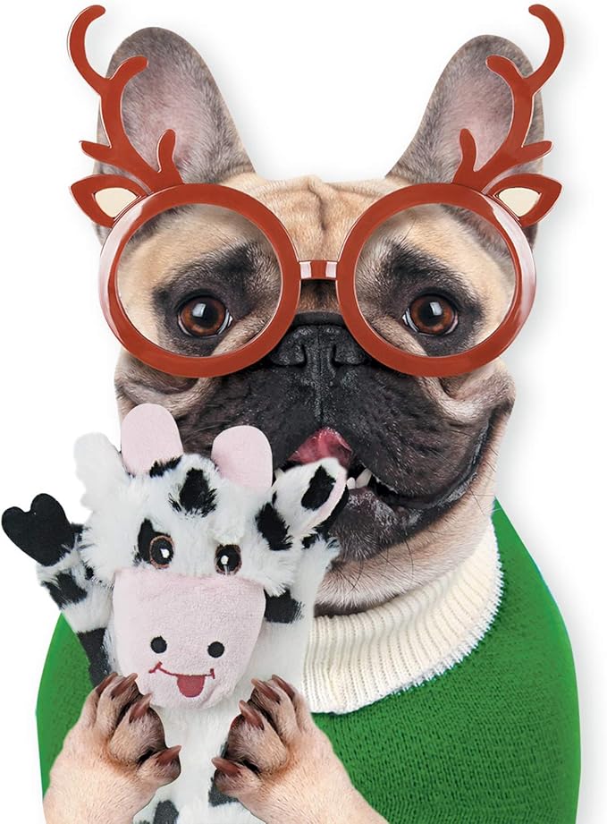 SHARLOVY Dog Squeaky Toys 5 Pack, Pet Crinkle Toy No Stuffing Animals Plush, Dog Chew for Large and Medium, Small Puppy Teething for Boredom