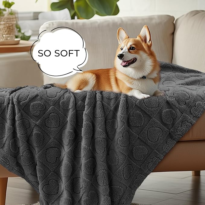 Luciphia Small Dog Blanket Washable Pet Bed Cover Soft Fluffy Puppy Blanket with Premium Fleece 300GSM Cozy Calming Cat Blankets for Indoor Cats Grey 57x40 inch