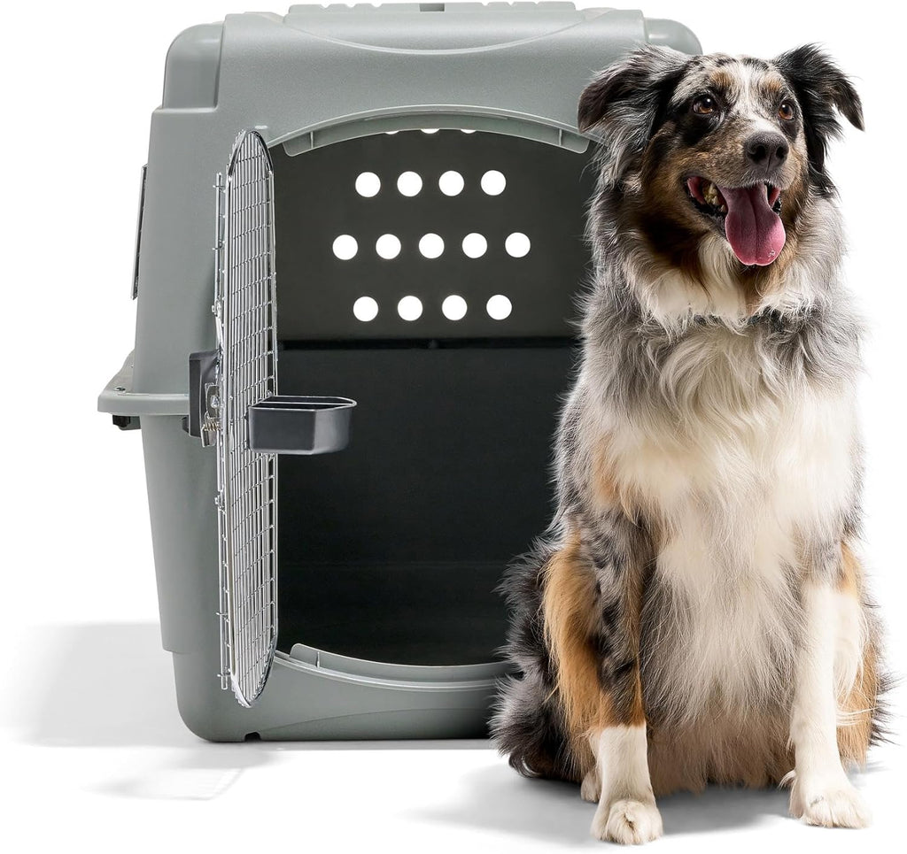Petmate Sky Kennel - For Air and Travel, Airline Compliant Dog Crate for Pets 50-70 lbs, Heavy Duty Dog Kennel, Made in the USA- 36 Inches