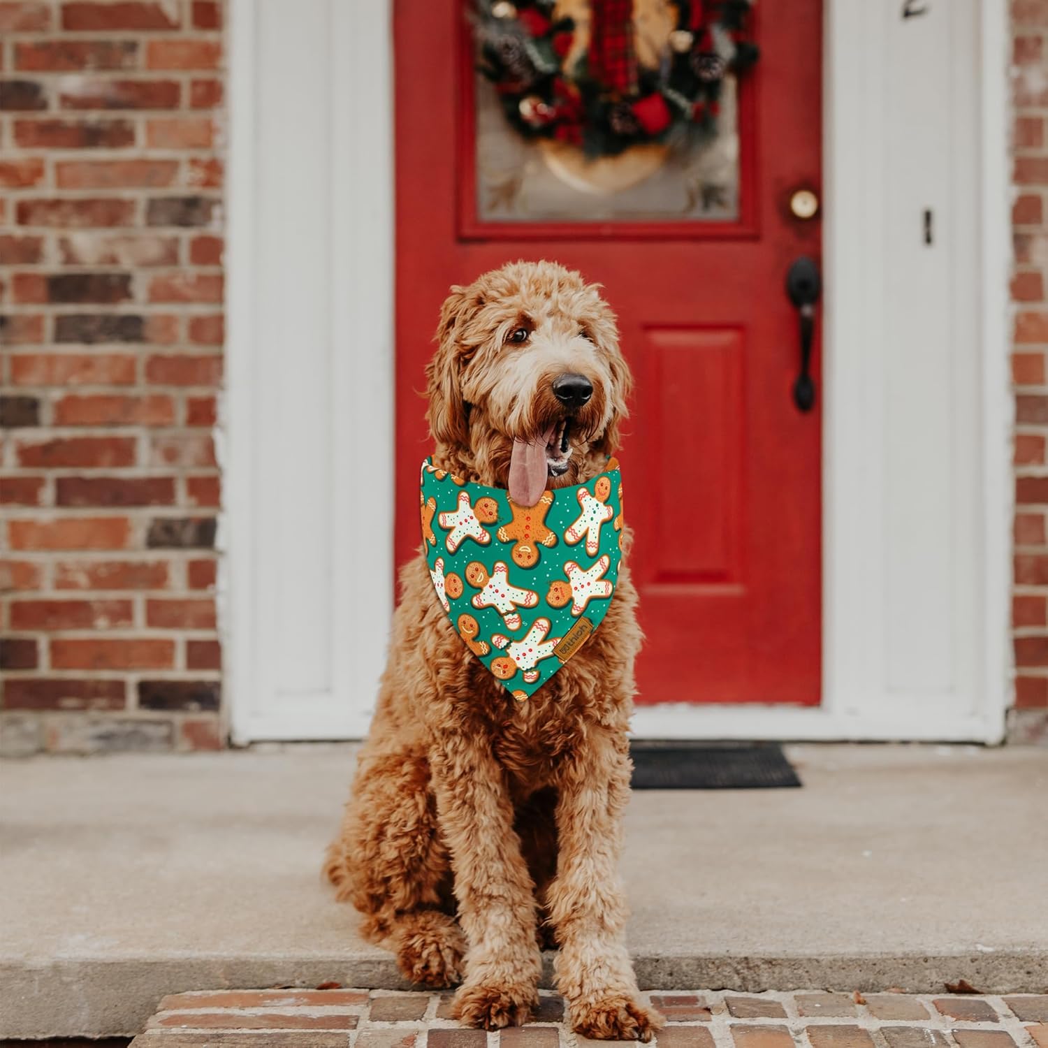 Christmas Dog Bandanas - 2 Pack Reversible Gingerbread Man Dog Scarf for Boy & Girl, Premium Durable Fabric, Festival Dog Bib, Holiday Bandana for Large & Extra Large Dogs (X-Large)