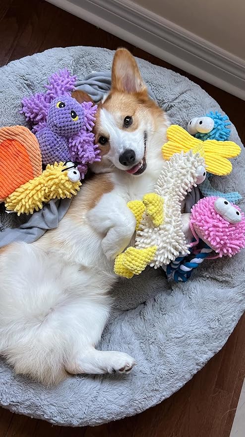 Nocciola Small Medium Large Dog Toys, Cute Soft Squeaky Crinkle Plush Stuffed Durable Pet Teething Animal Chew Toys for Small to Large Breed, Dog Christmas Stocking Stuffers