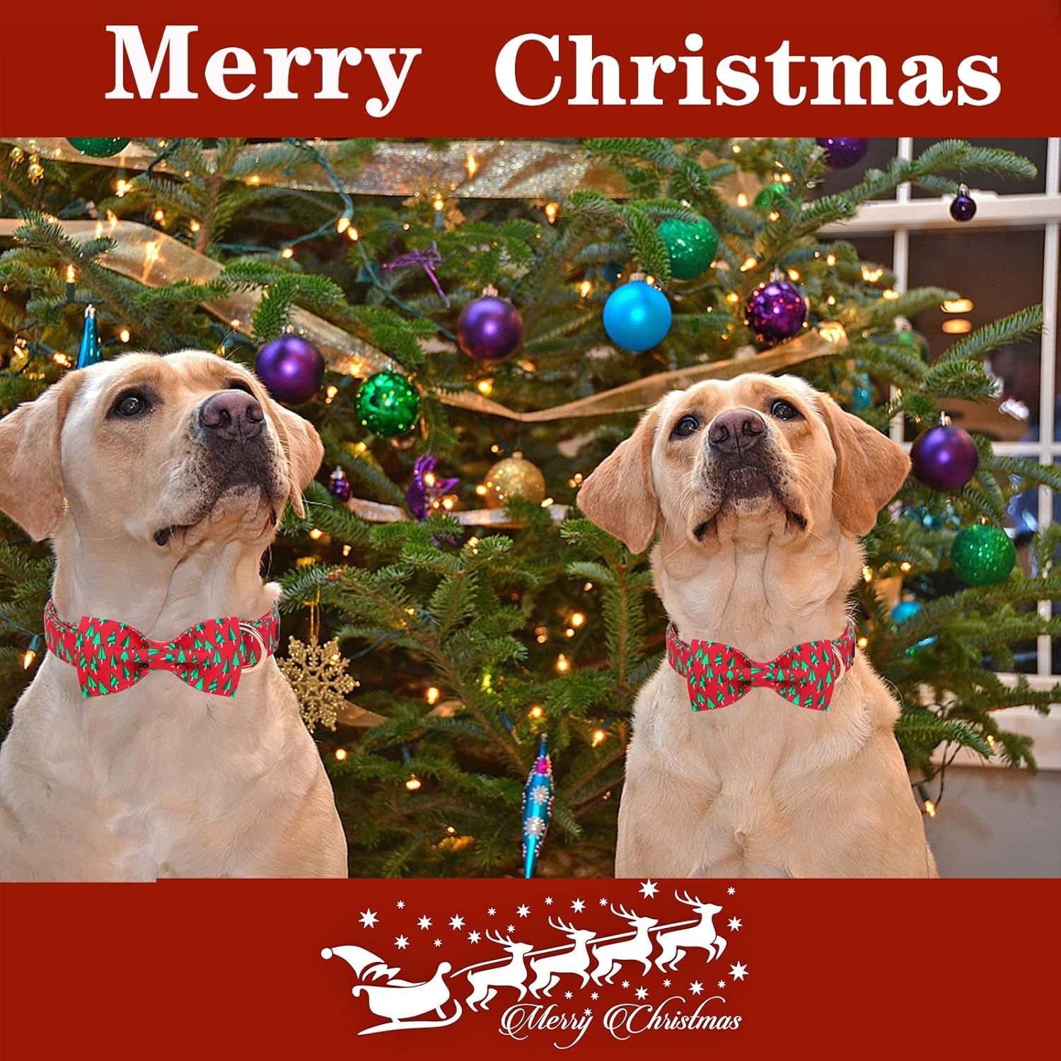 Unique style paws Christmas Dog Collar with Bow Best Winter for Small Medium Large Dogs -Christmas Tree-XL