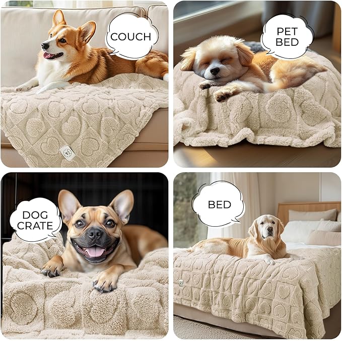Luciphia Small Dog Blanket Washable Pet Bed Cover Soft Fluffy Puppy Blanket with Premium Fleece 300GSM Cozy Calming Cat Blankets for Indoor Cats Beige 57x40 inch