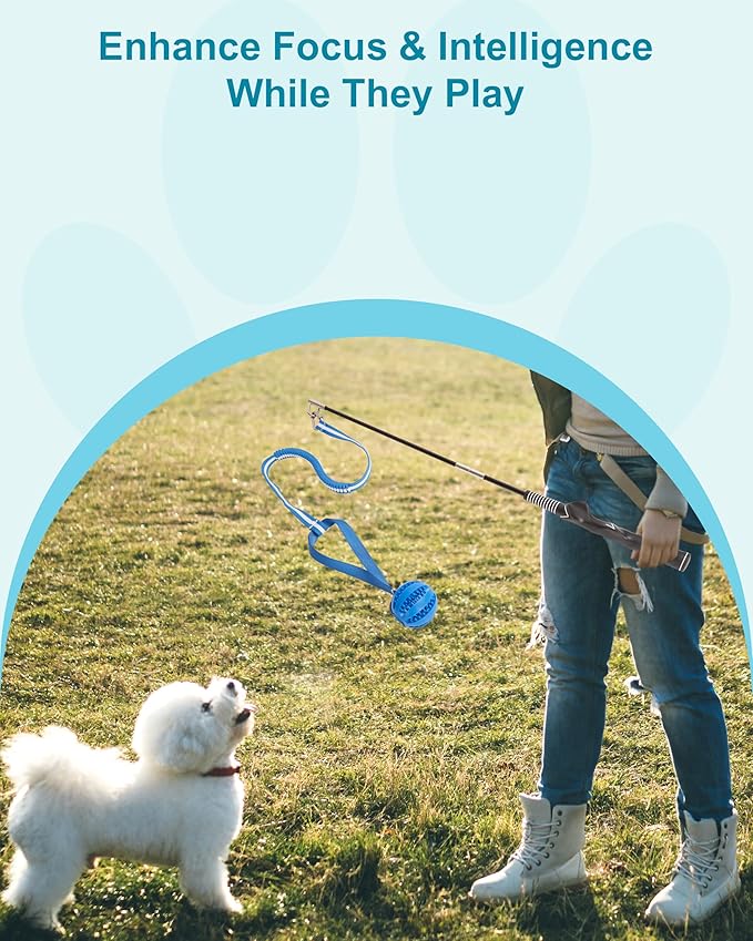 Flirt Pole for Dogs, Durable Dog Flirt Pole for Large Medium & Small Dogs, Interactive Dog Pole Toy with Rubber Ball for Outdoor/Indoor, Training, Chase, Tug of War 24 inch