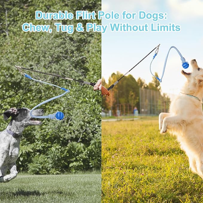 Flirt Pole for Dogs, Durable Dog Flirt Pole for Large Medium & Small Dogs, Interactive Dog Pole Toy with Rubber Ball for Outdoor/Indoor, Training, Chase, Tug of War (24 & 31 inch)