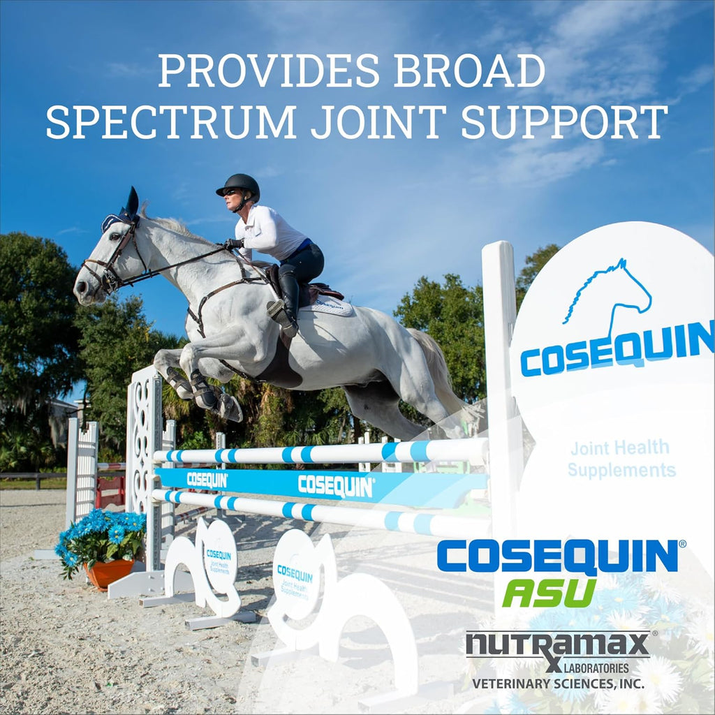 Nutramax Cosequin ASU Joint Health Supplement for Horses - Powder with Glucosamine, Chondroitin, ASU, and MSM, 500 Grams
