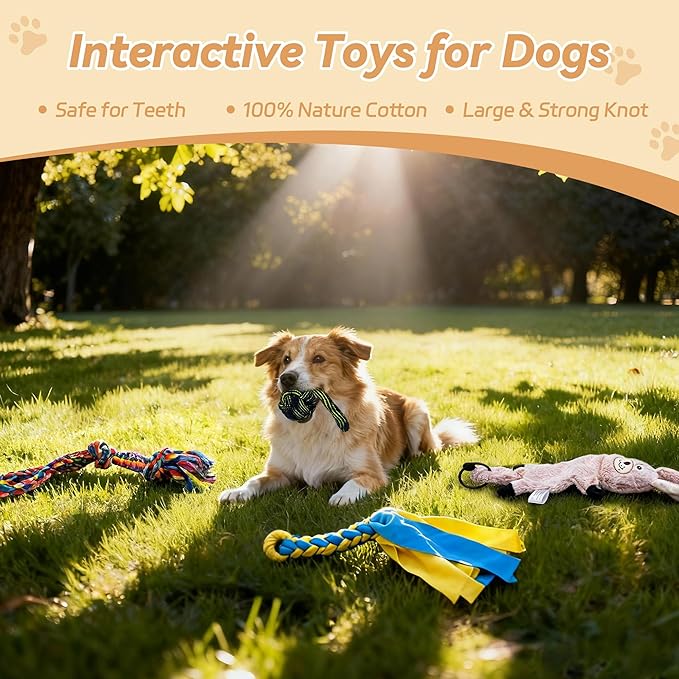 Flirt Pole for Dogs, Interactive Toys Tug-of-war for Pet, Durable Teaser Wand, Chase Toys with Rope Chewing Sticks, for Outdoor Exercise & Training