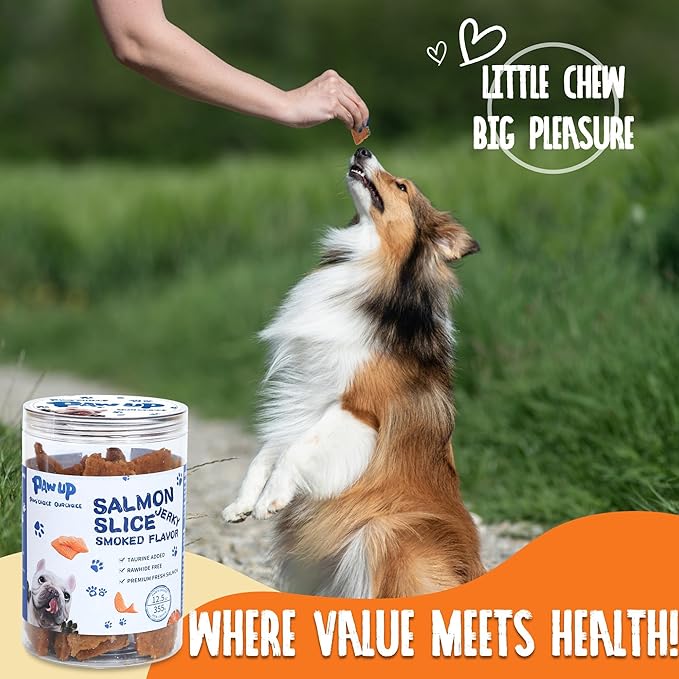 PAWUP Salmon Treats for Dog, Soft Healthy Dog Salmon Jerky, High Protein Dogs Snacks, Human Grade Salmons Fillets with Taurine,12.5oz (Smoked Flavor)