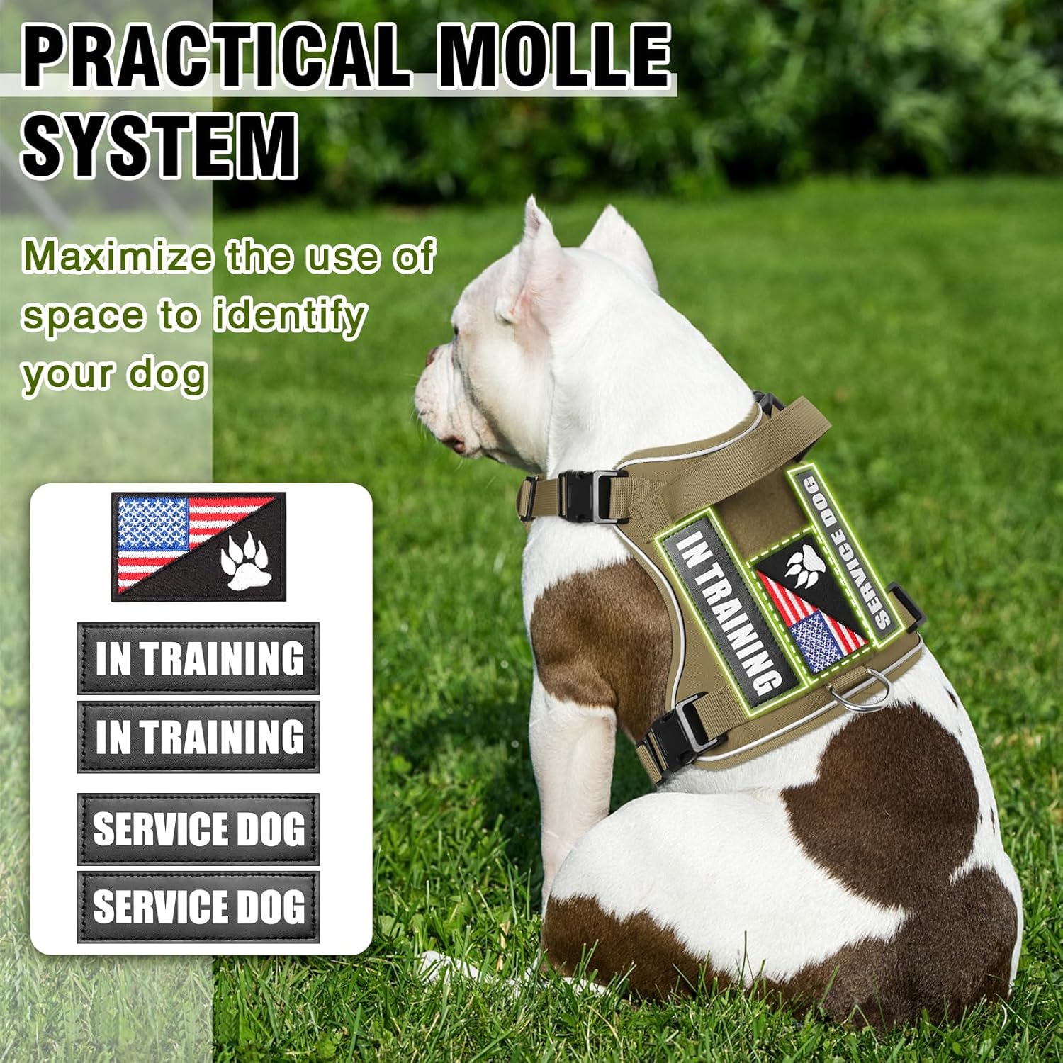 WINSEE Service Dog in Training Harness with 5 PCS Patches, Reflective Tactical Dog Vest Harness, Adjustable Soft Oxford Pet Harness with Easy Control Handle, Hook & Loop Panels for Walking Hiking