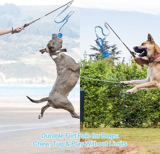 Flirt Pole for Dogs, Durable Dog Flirt Pole for Large Medium & Small Dogs, Interactive Dog Pole Toy with Rubber Ball for Outdoor/Indoor, Training, Chase, Tug of War (24 & 31 inch)