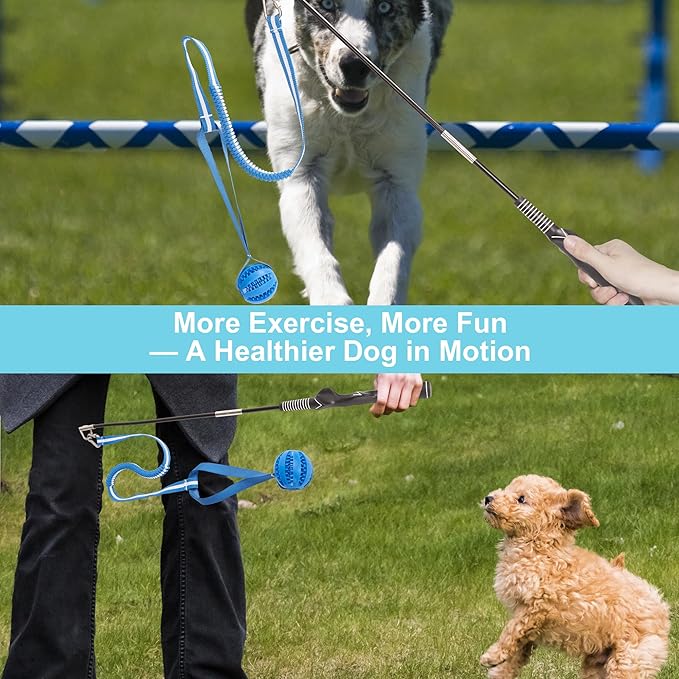 Flirt Pole for Dogs, Durable Dog Flirt Pole for Large Medium & Small Dogs, Interactive Dog Pole Toy with Rubber Ball for Outdoor/Indoor, Training, Chase, Tug of War (24 & 31 inch)
