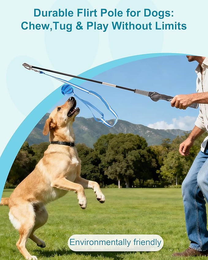 Flirt Pole for Dogs, Durable Dog Flirt Pole for Large Medium & Small Dogs, Interactive Dog Pole Toy with Rubber Ball for Outdoor/Indoor, Training, Chase, Tug of War 31 inch