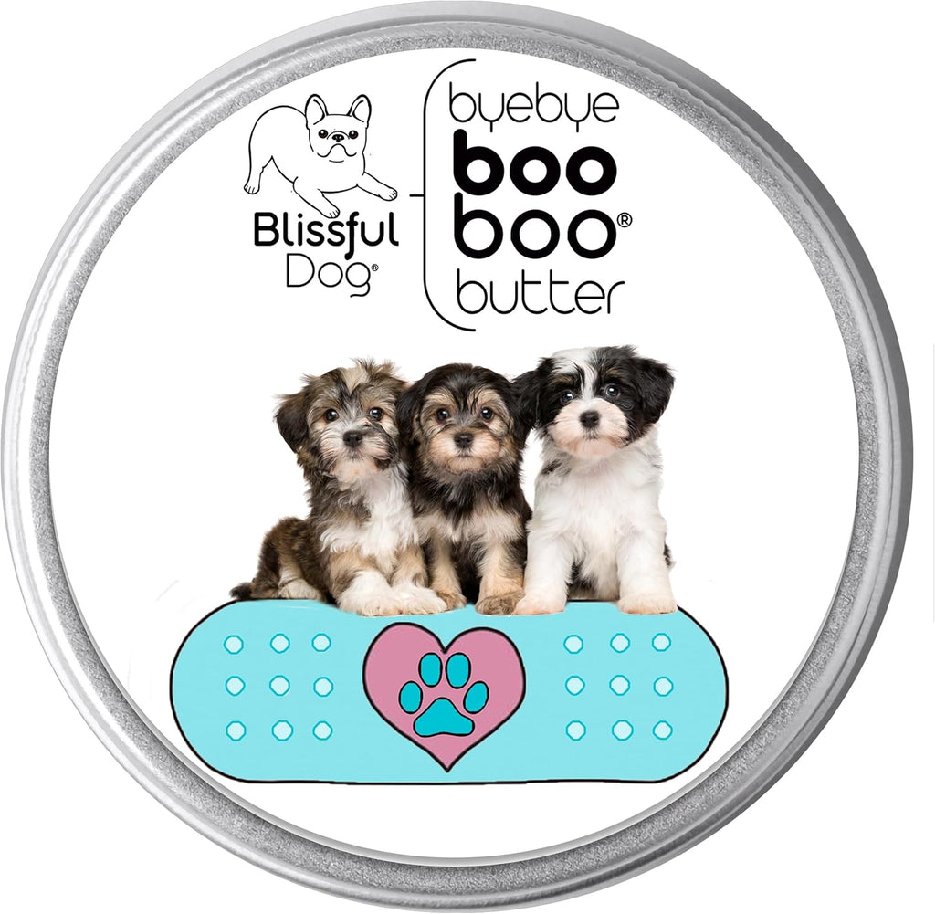 The Blissful Dog Havanese Boo Boo Butter, 1-Ounce