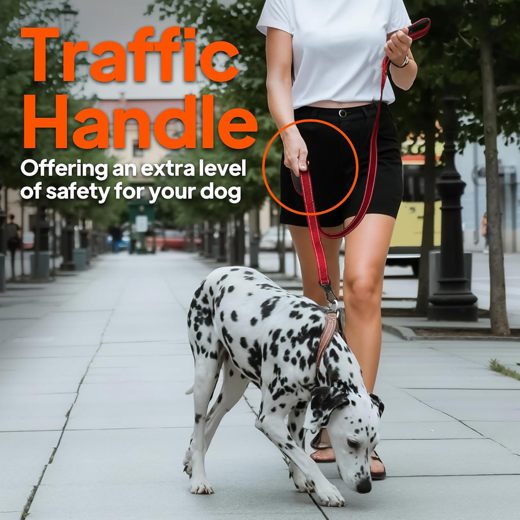 TwoEar 4FT 1IN Strong Blue Dog Leash with 2 Padded Handles, Traffic Handle Extra Control, Comfortable Soft Dual Handle, Auto Lock Hook, Reflective Walking Lead for Small Medium and Large Dogs