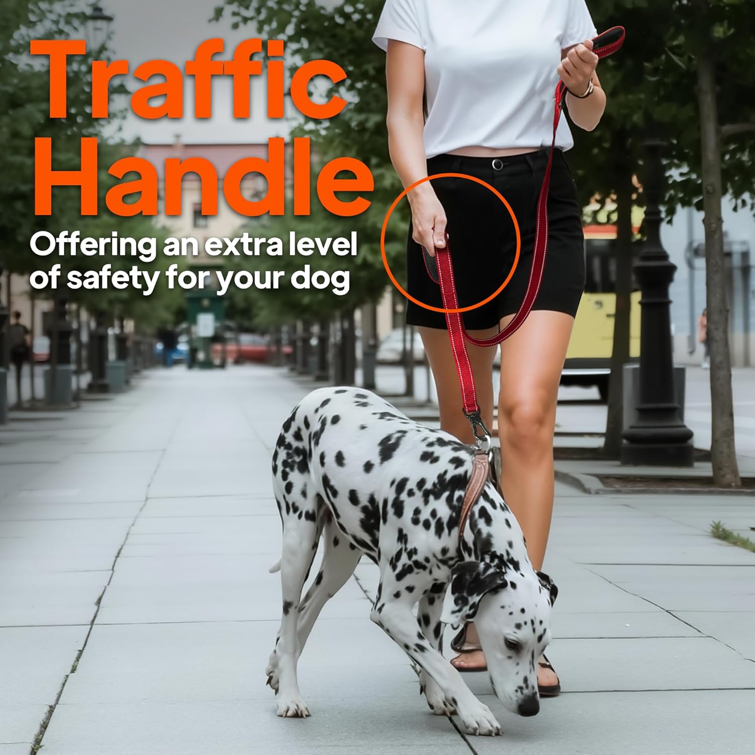 TwoEar 4FT 1IN Strong Blue Dog Leash with 2 Padded Handles, Traffic Handle Extra Control, Comfortable Soft Dual Handle, Auto Lock Hook, Reflective Walking Lead for Small Medium and Large Dogs